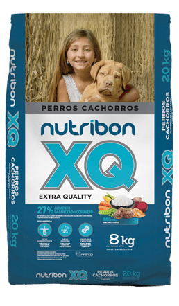 Bolsa de alimento balanceado para perros cachorros marca Nutribon XQ